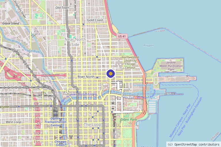 Map showing the location of The Stem Cell Hair Restoration and Transplant Clinic (Aesthetica) in Chicago, IL