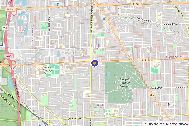 Map showing the location of Global Pain & Spine Clinic in Niles, IL