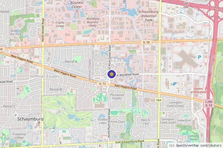 Map showing the location of Suburban Laser and Skin in Schaumburg, IL