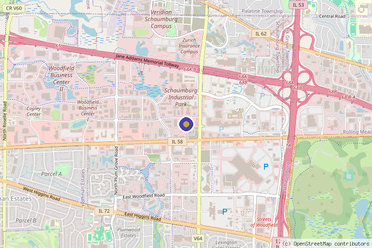 Map showing the location of thriveMD in Schaumburg, IL