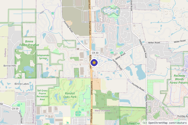 Map showing the location of Tailored Aesthetics & Wellness in Carpentersville, IL