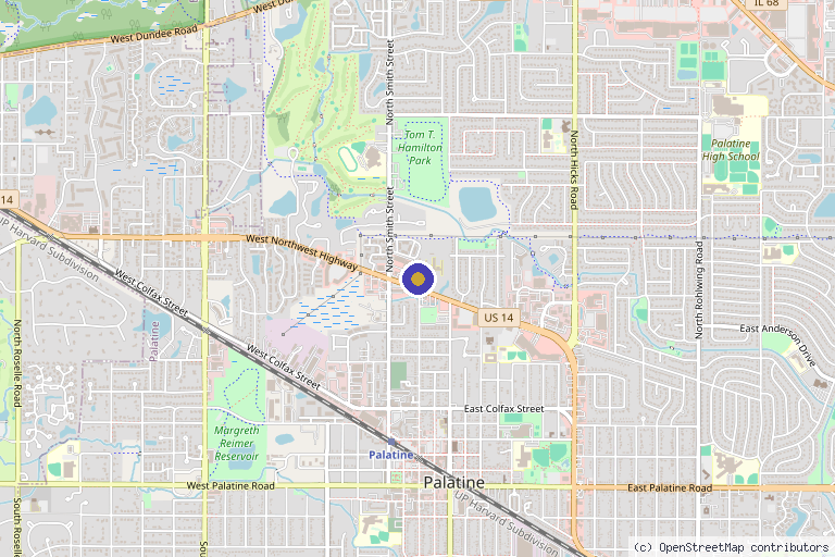 Map showing the location of Palatine Wellness and Pain in Palatine, IL