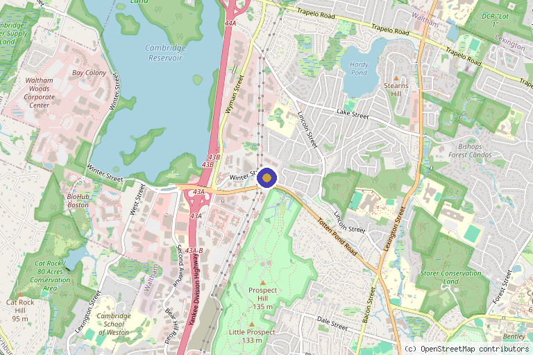 Map showing the location of ShushRX in Waltham, MA