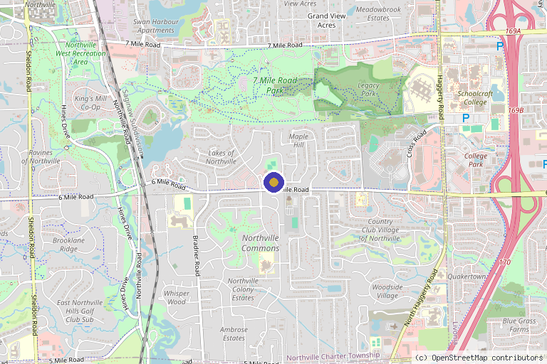 Map showing the location of Regenerize Me PLC in Northville, MI
