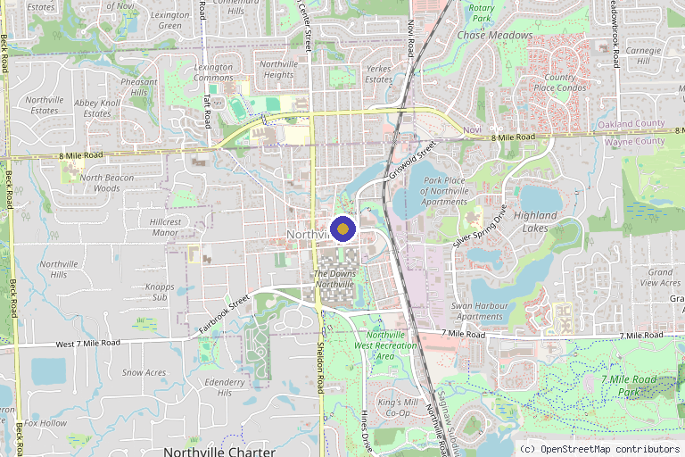 Map showing the location of Thrive Medicine in Northville, MI