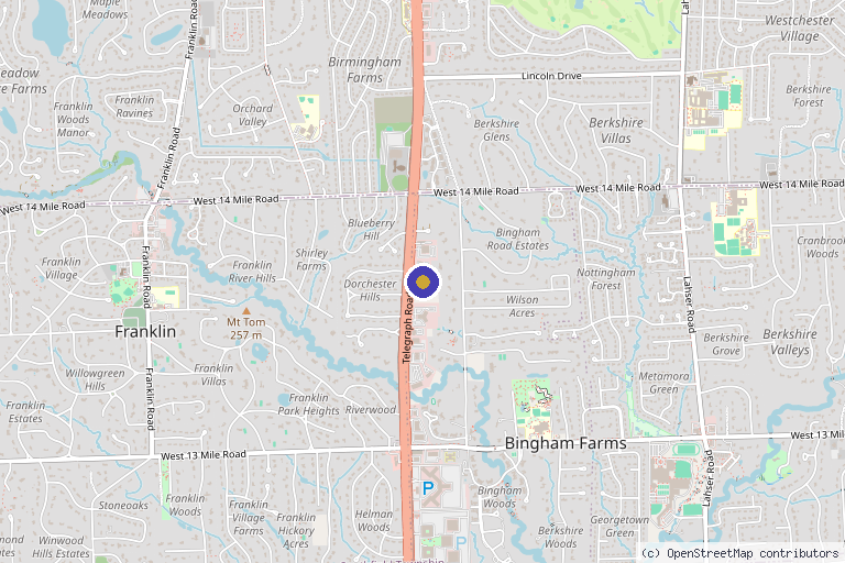 Map showing the location of Integro Health in Bingham Farms, MI