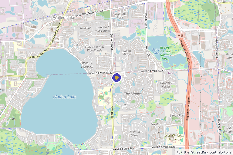 Map showing the location of Advanced Wound Care & Hyperbaric Medicine of Michigan in Novi, MI