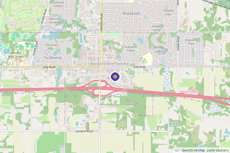 Map showing the location of Wellness Alternatives in Okemos, MI