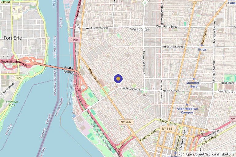 Map showing the location of Thrive Medical WNY in Buffalo, NY