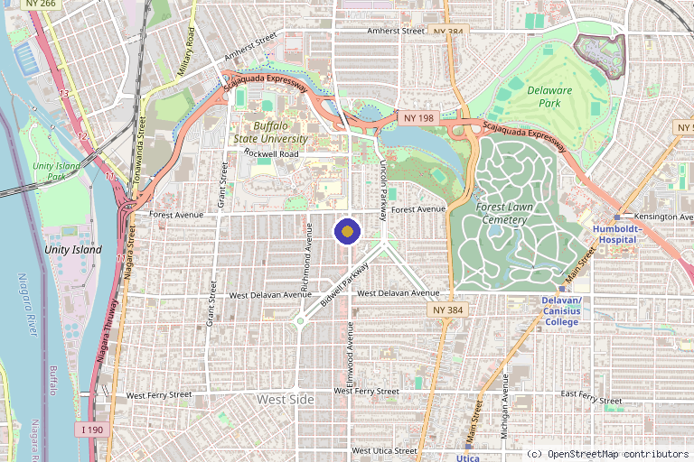 Map showing the location of Save Face Medspa in Buffalo, NY