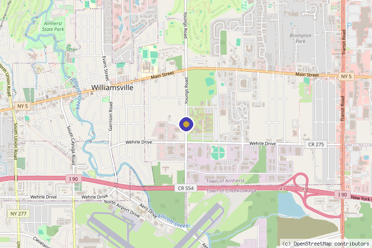 Map showing the location of Dr. Michael S. Cicchetti, MD in Buffalo, NY