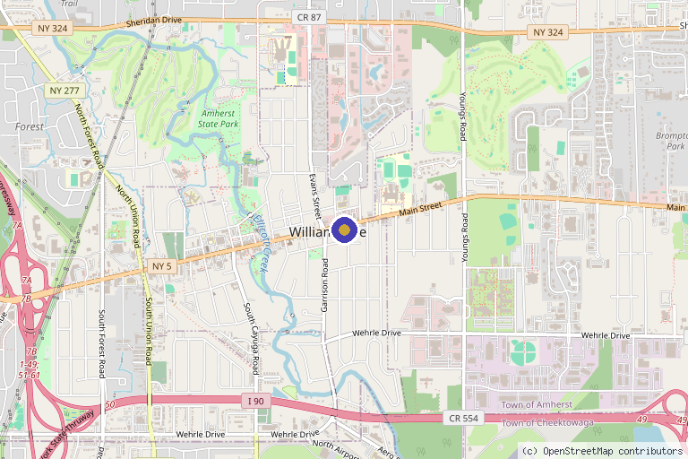 Map showing the location of Smooth Solutions Medical Aesthetics in Williamsville, NY