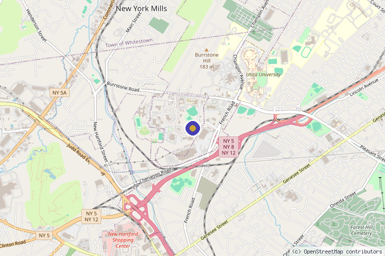 Map showing the location of Omni Pain & Precision Medicine in Utica, NY