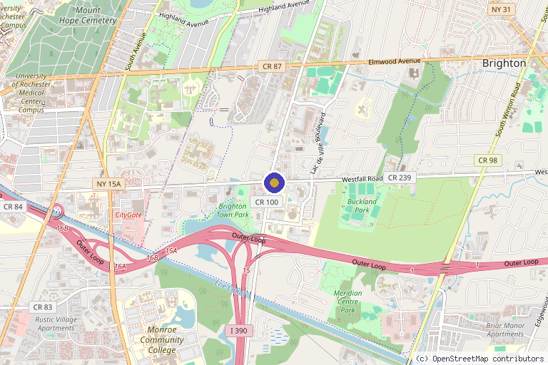 Map showing the location of Pain Management Art Institute in Rochester, NY