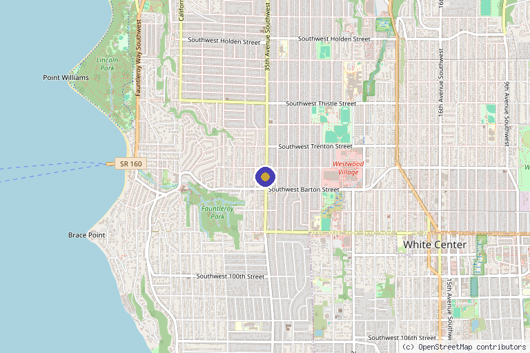 Map showing the location of Well Medical Arts in Seattle, WA