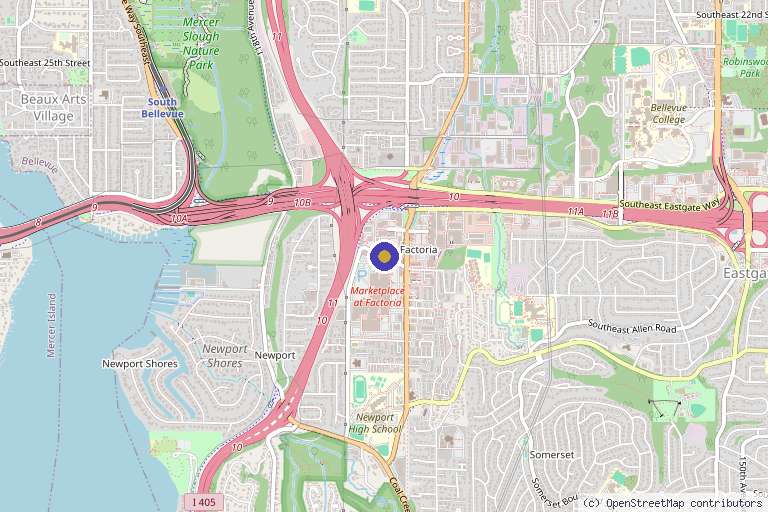 Map showing the location of BioVantage Cell Therapy | Hair Restoration and Stem Cell Therapy in Bellevue, WA