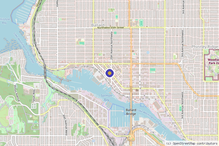 Map showing the location of Rebel Med NW in Seattle, WA
