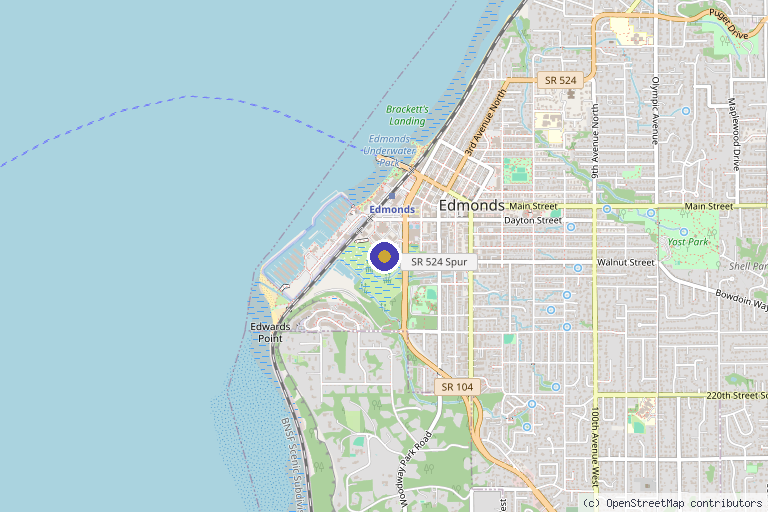 Map showing the location of 212 Med Spa in Edmonds, WA