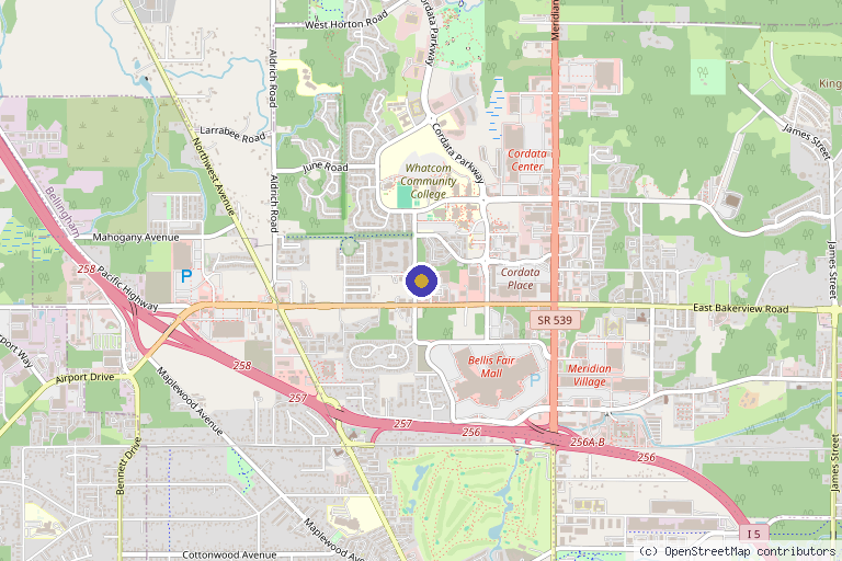 Map showing the location of Kucumber Skin Lounge in Bellingham, WA