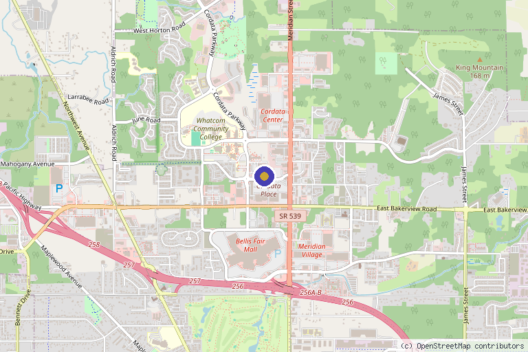 Map showing the location of Belle Medical Aesthetics in Bellingham, WA