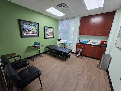 Life Renewing Stem Cells