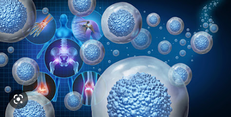 Stem Cell Therapy Charlotte NC