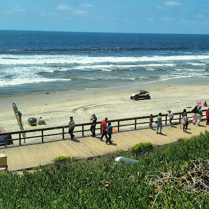 Cellular Performance Institute