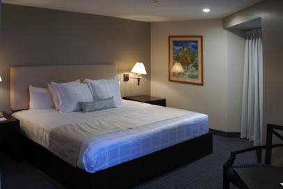 Renovation Stem Cell Renovation Stem Cell