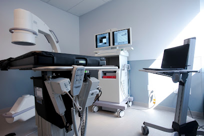 Stem Cell Therapy Stem Cell Therapy
