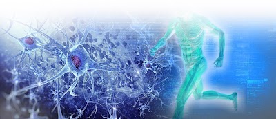 Dr. Stem Cell