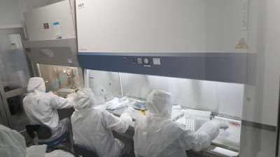 Personalized Stem Cells
