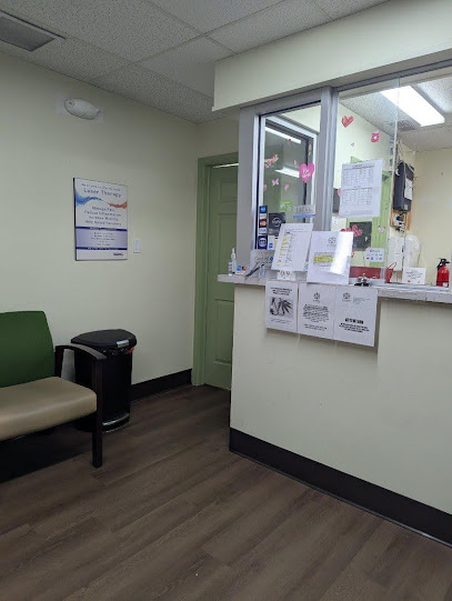 The Stem Cell Doc The Stem Cell Doc