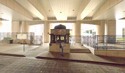 Cardiovascular Stem Cell Program