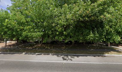 The Allende Centre for Regenerative Medicine & Vitality