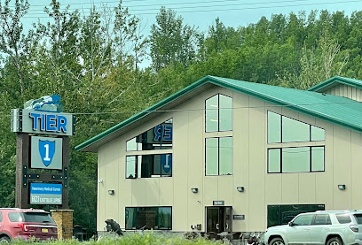 Tier 1 Veterinary Medical Center