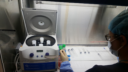 Elite Regenerative Stem Cell Specialists Elite Regenerative Stem Cell Specialists