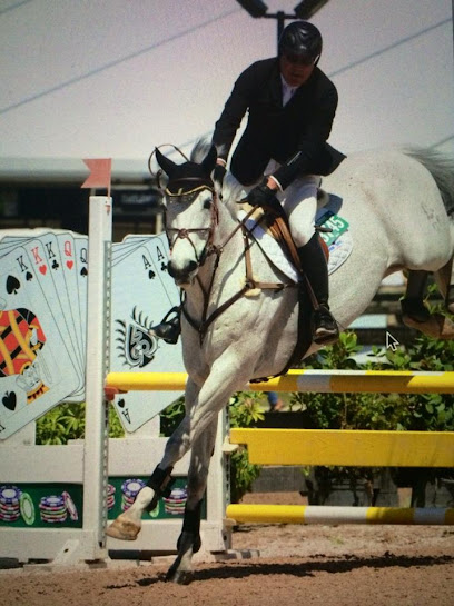 Denver Pain and Performance Solutions Denver Pain and Performance Solutions