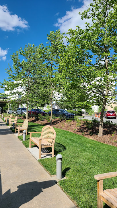 Cone Health Wesley Long Surgery Center