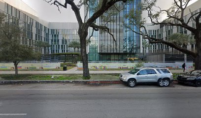 Anna Cohen-Rosenblum