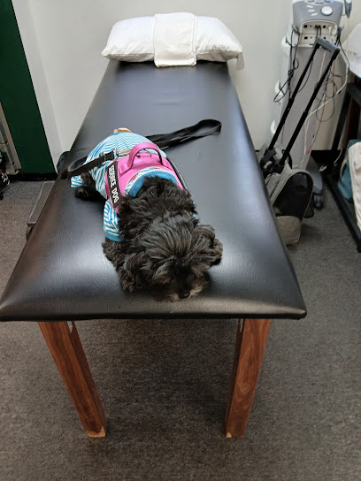 Forest Hill Physical Therapy Forest Hill Physical Therapy