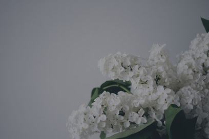 The Hormone Center The Hormone Center