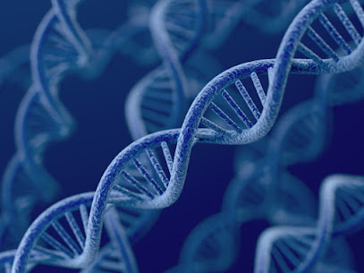 Ariel Precision Medicine