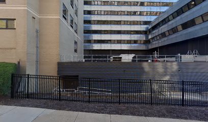 Division of Hematology and Cellular Therapy