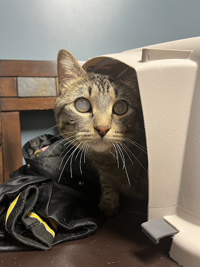 Animal Emergency & Referral Center of Minnesota (AERC) Animal Emergency & Referral Center of Minnesota (AERC)