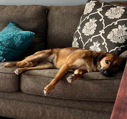 Revitalist Ketamine Therapy Tampa Revitalist Ketamine Therapy Tampa