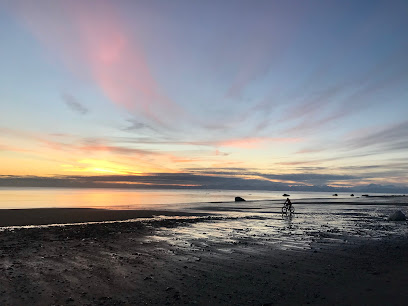 South Anchorage Physical Therapy South Anchorage Physical Therapy