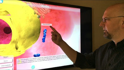 Advanced Behavioral Health/David R. Stephens