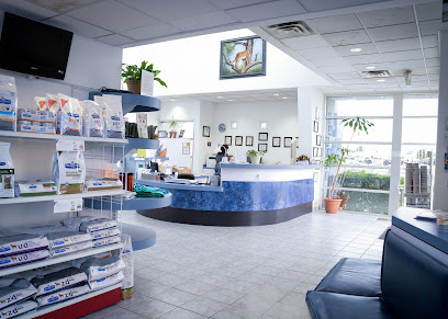 Creature Comforts Animal Hospital