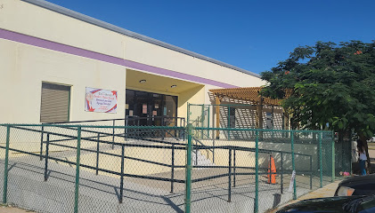 Brownsville Spay Neuter Clinic Brownsville Spay Neuter Clinic