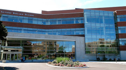 Pain Science and Treatment